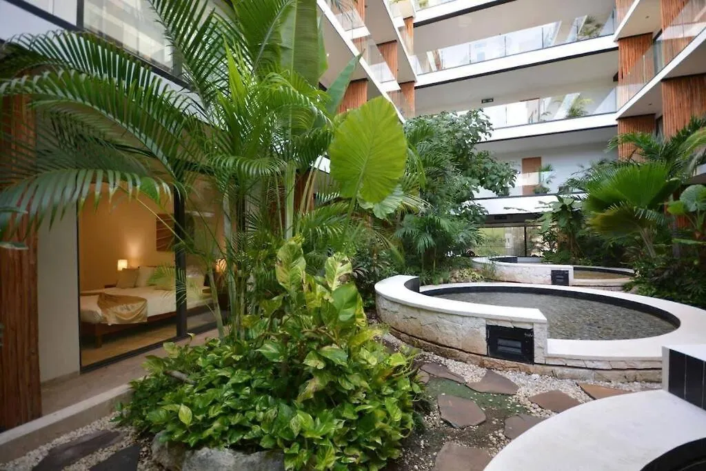 Hermoso Y Acogedor Estudio A Pasos De La Playa Apartment Playa del Carmen 0*,