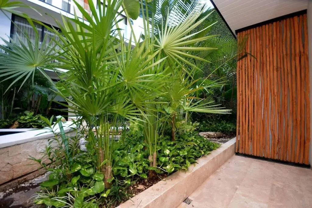 Hermoso Y Acogedor Estudio A Pasos De La Playa Apartment Playa del Carmen Mexico