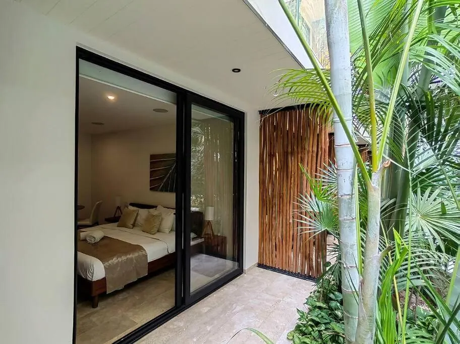 Hermoso Y Acogedor Estudio A Pasos De La Playa Apartment Playa del Carmen